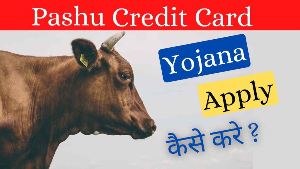 Pashu Kisan Credit Card Apply kaise kare 